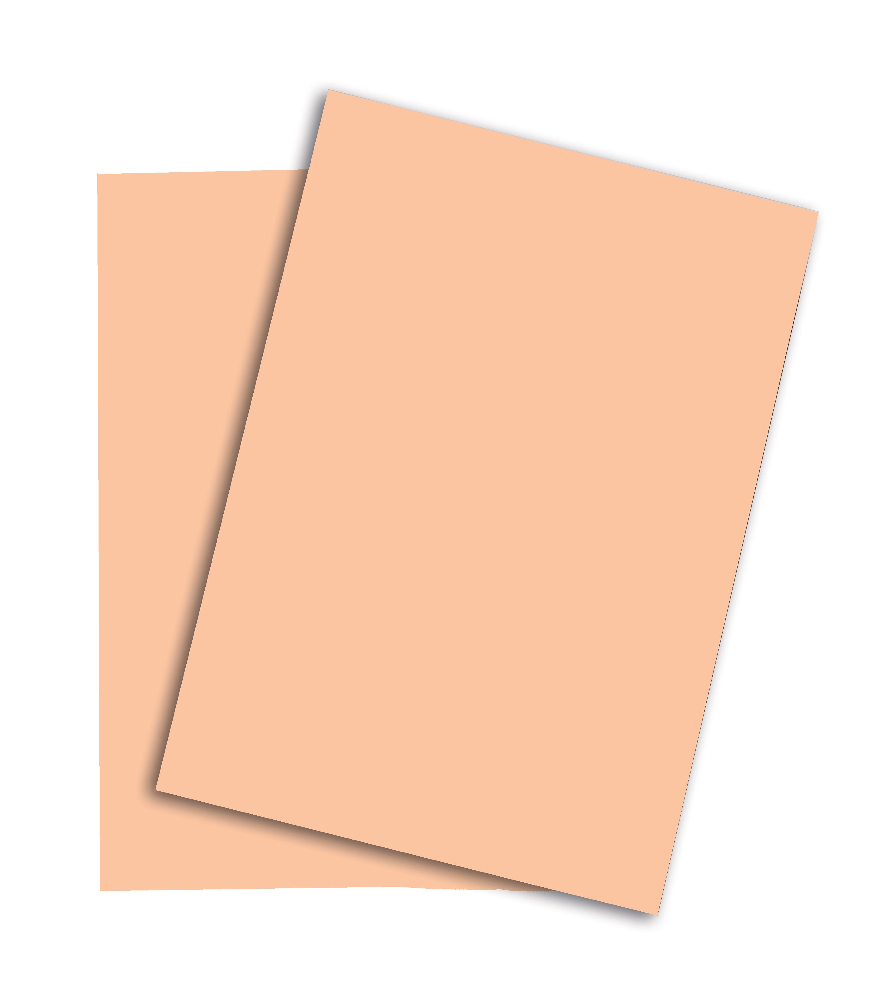 Papier Rainbow A3 80 gm2 lachs Code Nr. 40 / Nr. 88043266 SPEZIALBESTEL