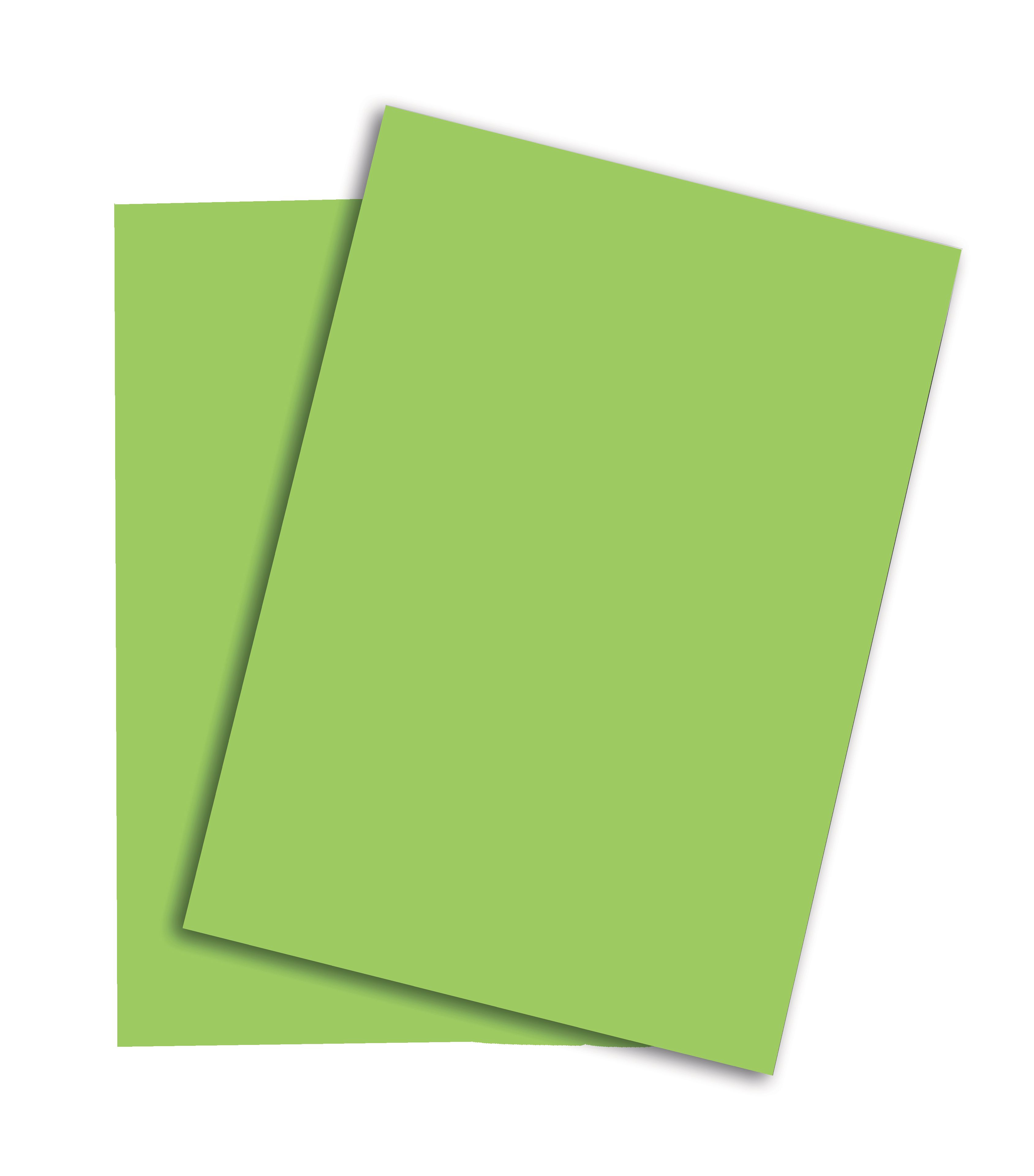 Papier Rainbow A3 80 gm2 grün Code Nr. 76 / Nr. 88043273 SPEZIALBESTEL