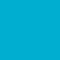 Tonzeichenpapier A4 130 gm2 eisblau Pk. à 100 Blatt / SPEZIALBESTELLUNG!!!